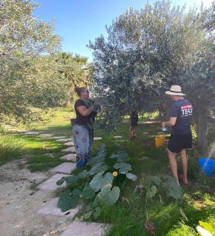 Eco Hostel Vela Vega بوتيرا المظهر الخارجي الصورة