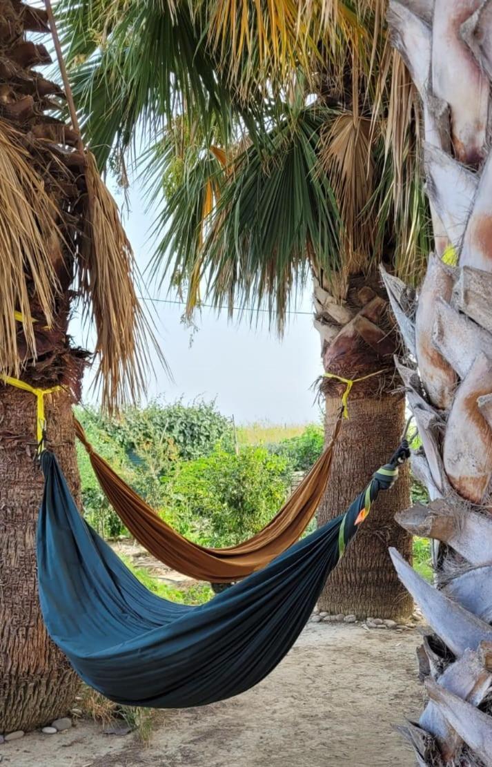 Eco Hostel Vela Vega بوتيرا المظهر الخارجي الصورة